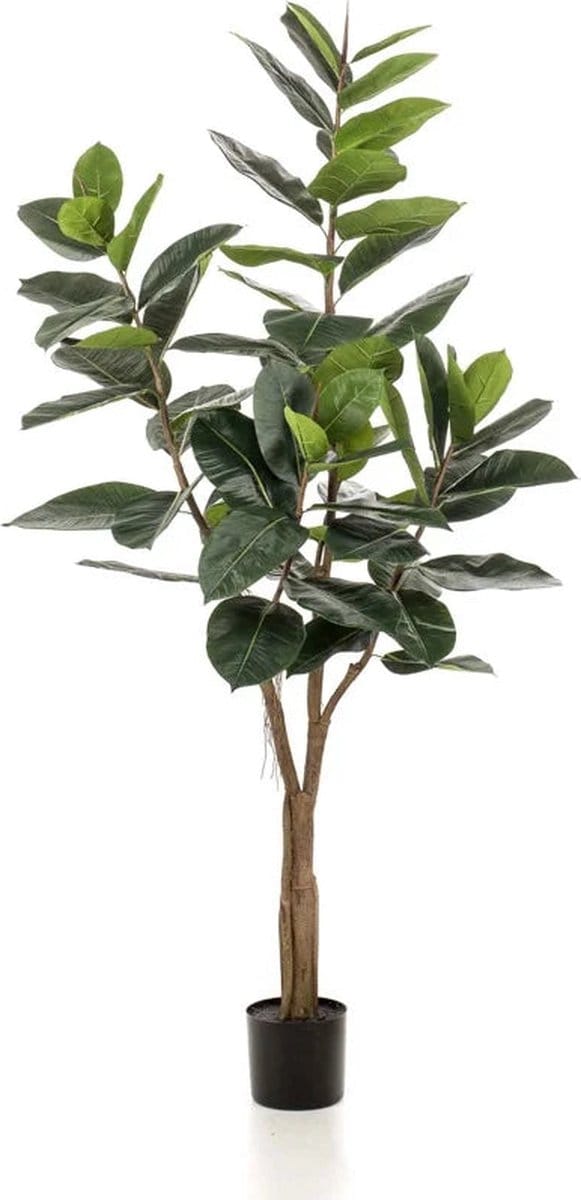 Emerald - Kunstboom Ficus Elastica 180cm - Kunstplant voor binnen