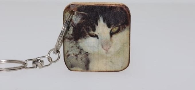 Sleutelhanger 3x3 cm Hollandse dieren kat