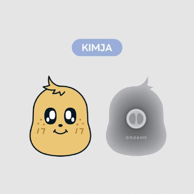 PIN'S MÉTAL MINITEEN, PRODUITS SEVENTEEN, KPOP, Officiel, Original, Authentique KIMJA gray