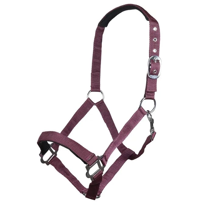 Halster voor paarden HKM Sydney
