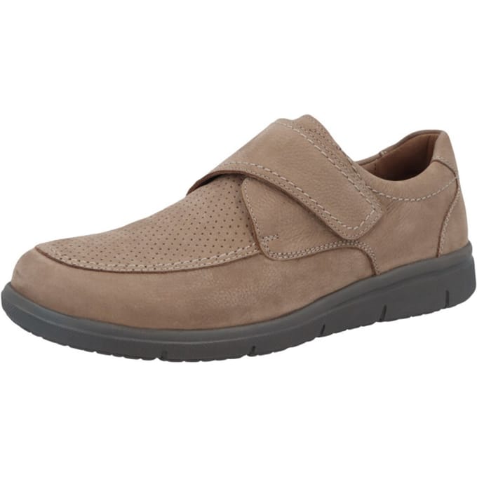 Solidus 64042-30366 hardy