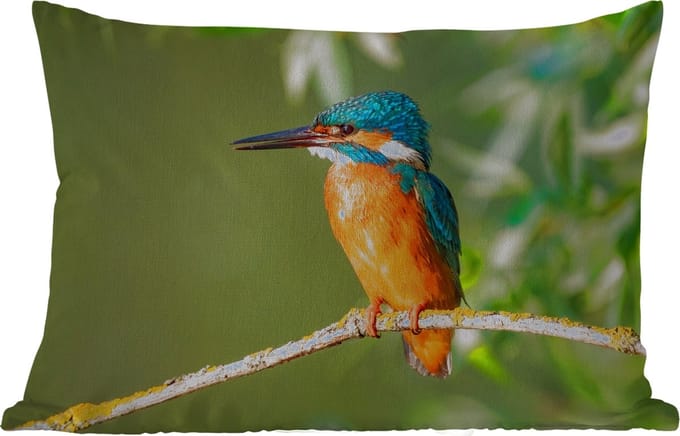 Buitenkussens - Vogel - IJsvogel - Tak - Bladeren - Mos - 60x40 cm - Weerbestendig