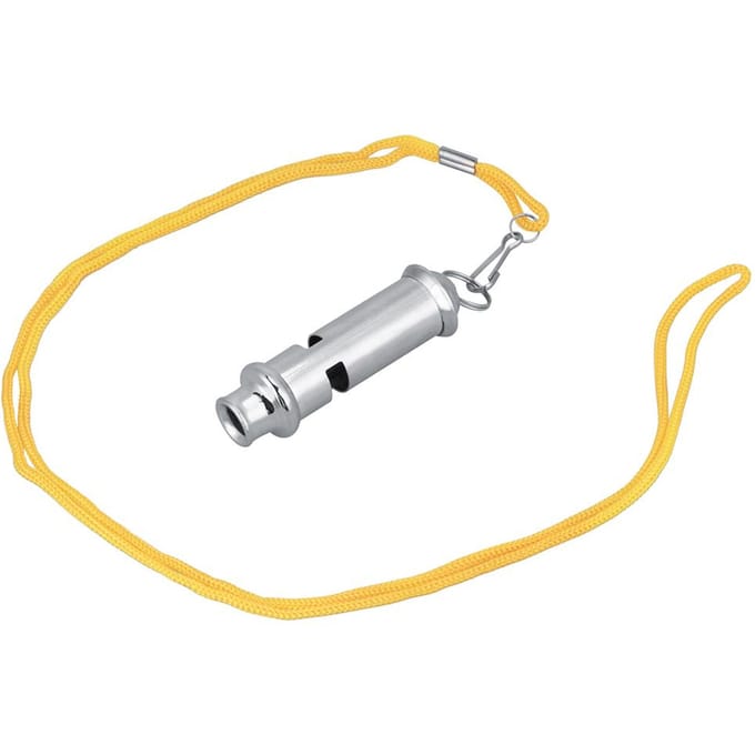 RVS Ultrasone Duivenfluit Gedragstrainingshulpmiddel gray