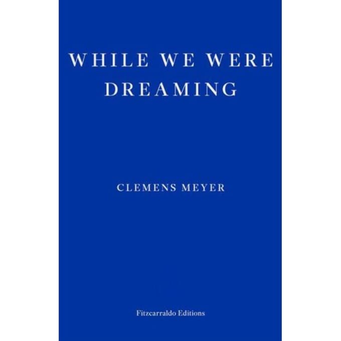 While We Were Dreaming - Clemens Meyer