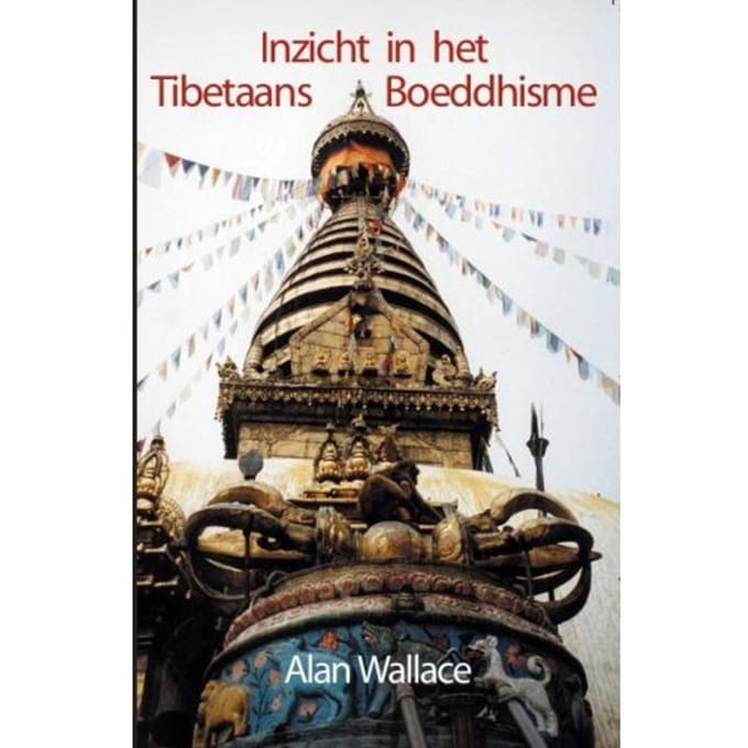Inzicht In Het Tibetaans Boeddhisme - Alan Wallace