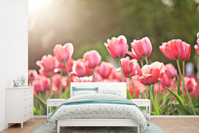 Behang - Fotobehang Tulpen - Zon - Lente - Breedte 600 cm x hoogte 400 cm