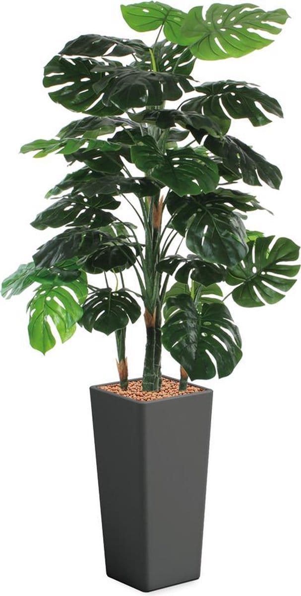 HTT - Kunstplant Monstera in Clou vierkant antraciet H195 cm