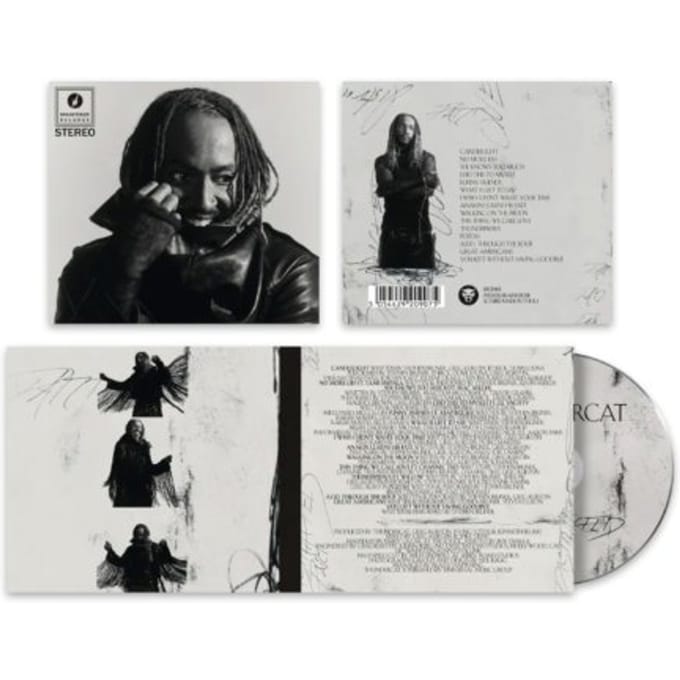 Thundercat - Distracted (CD)