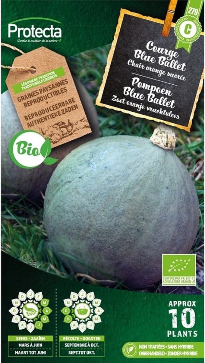 Protecta Groente zaden: Pompoen Blue Ballet Biologisch