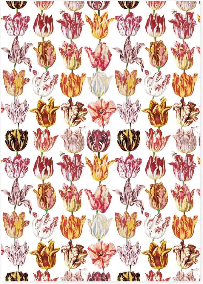 Theedoek Tulpen Jacob Marrel 50 x 70 cm