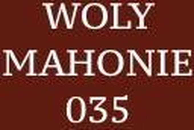 Woly Roodbruin 035 Schoensmeer - One size