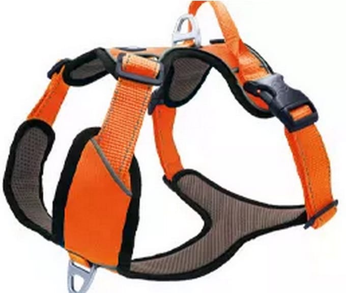 Hondentuig Outdoor Oranje- maat XL 82 – 106 cm.