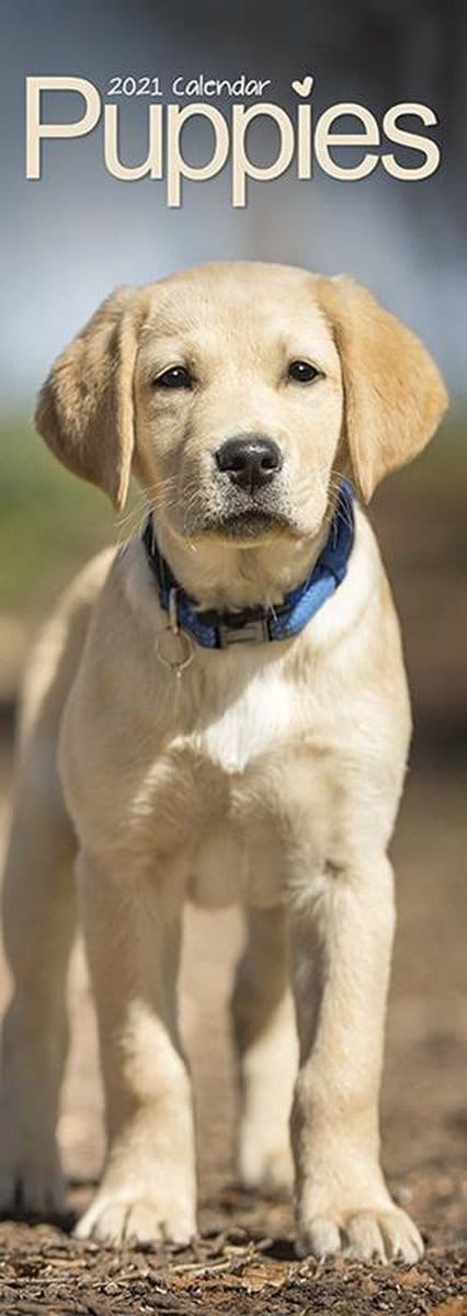 Puppies Kalender 2021 Slimline