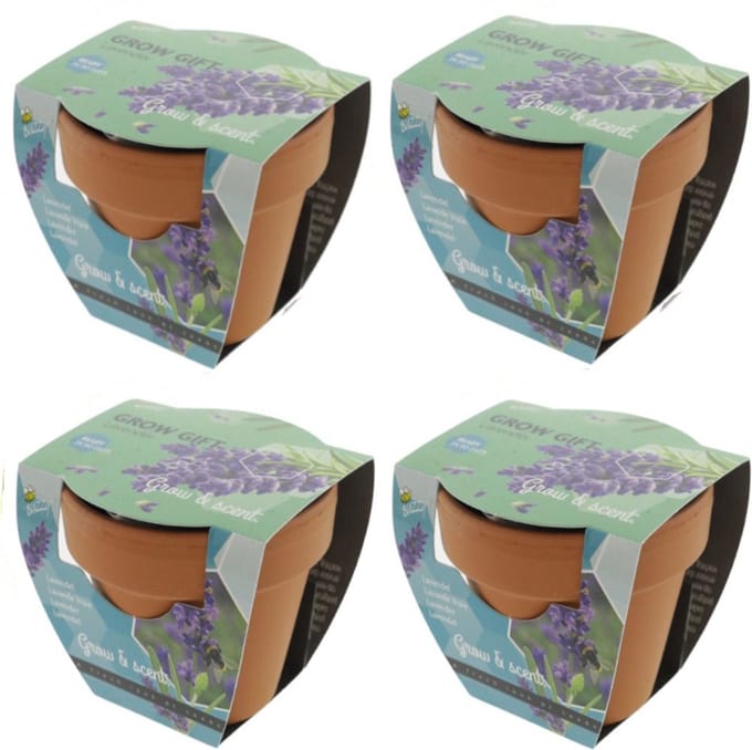 Lavendel - Grow Gift - 4 Minipotjes voor kweken van Lavendel