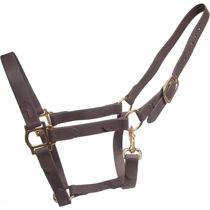 Halster voor paarden Karlslund