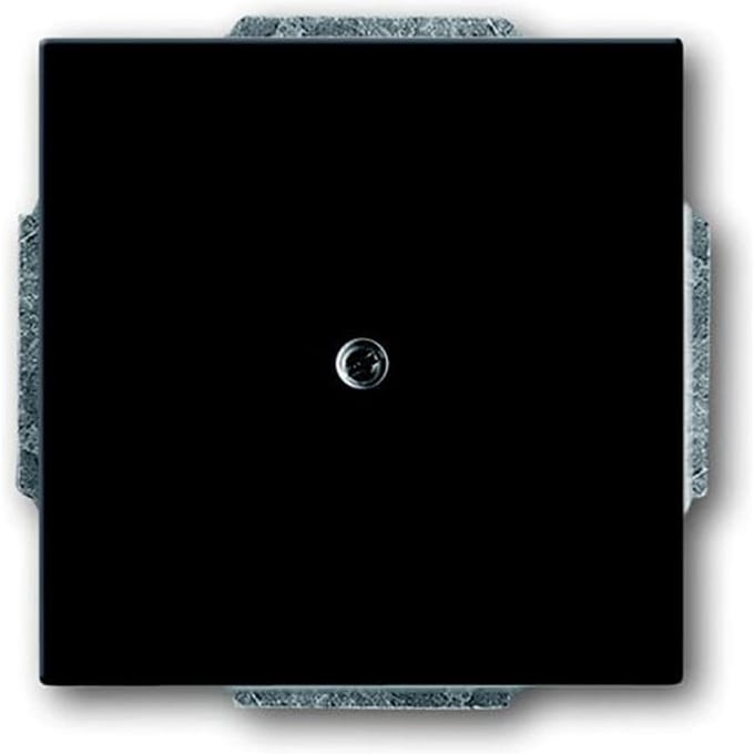 ABB Busch-Jaeger toekomstig Bedieningselement/Centrale Plaat Schakelmateriaal - 2CKA001710A3612 - E2H8C