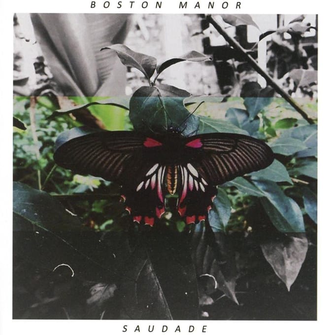 Saudade - Boston Manor
