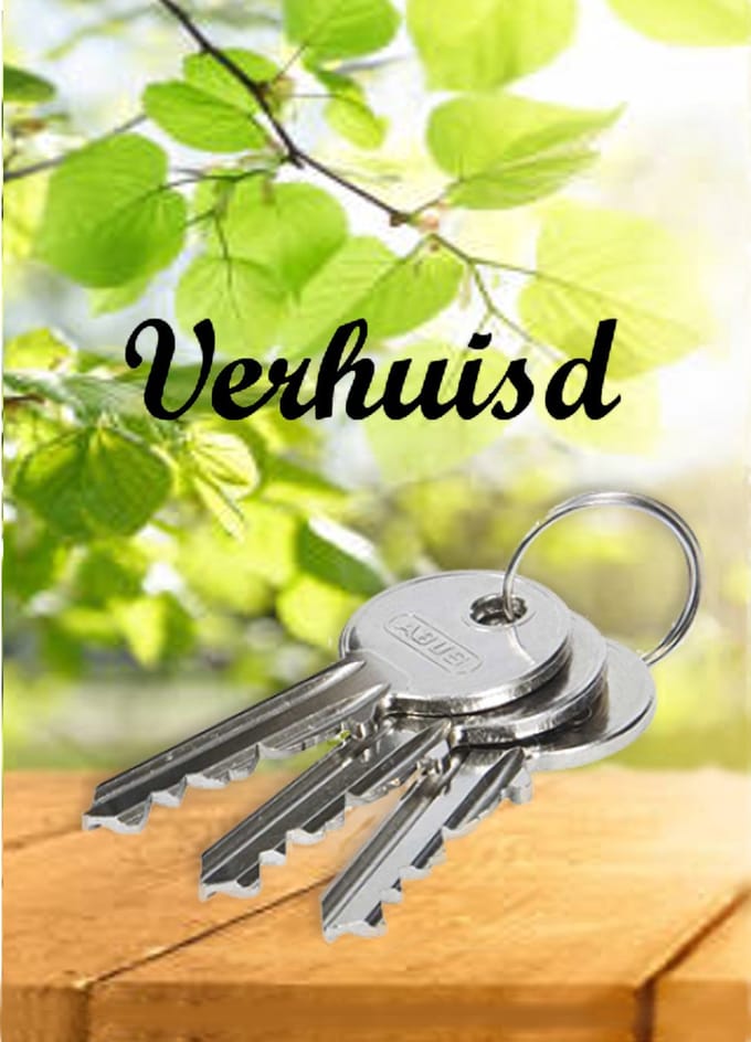 Adreswijziging - Verhuiskaarten - A6 - Kaartenset van 6 stuks - Briefkaarten