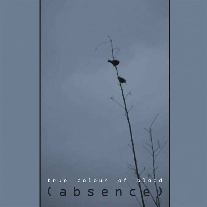 True Color Of Blood - (Absence) (CD)