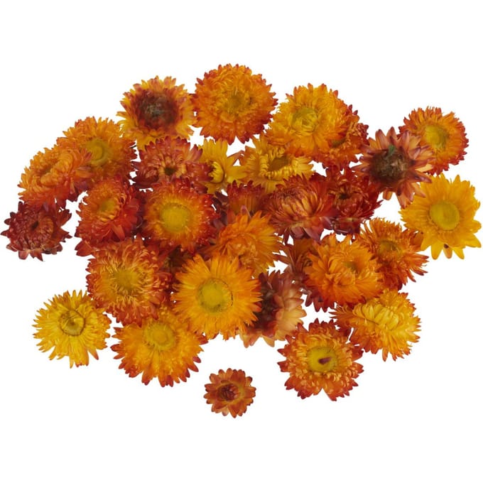Strobloemhoofdjes - Oranje