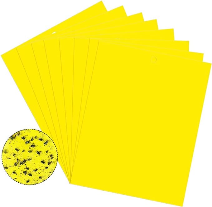 Vangplaat voor ongedierte Flycatcher 20-pack