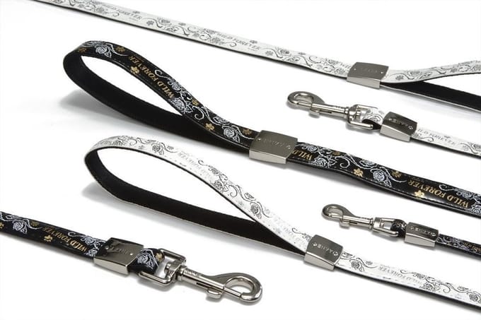 Envy looplijn Wild forever - Zwart