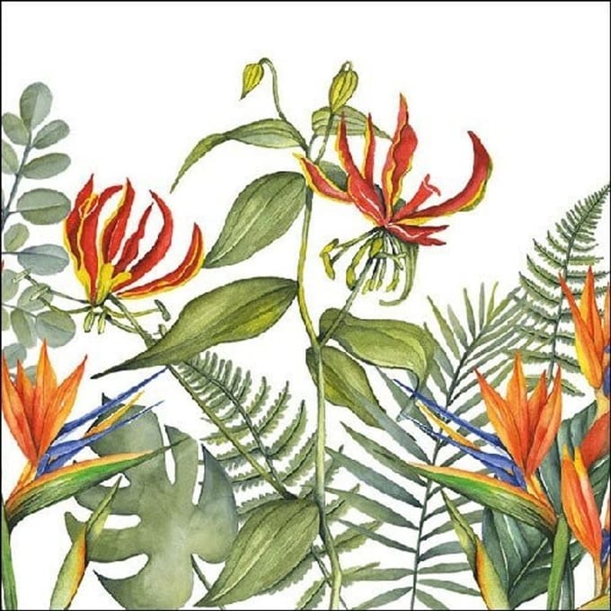 Lunch Servetten Tropical Flowers White - Ambiente - 33x33 cm