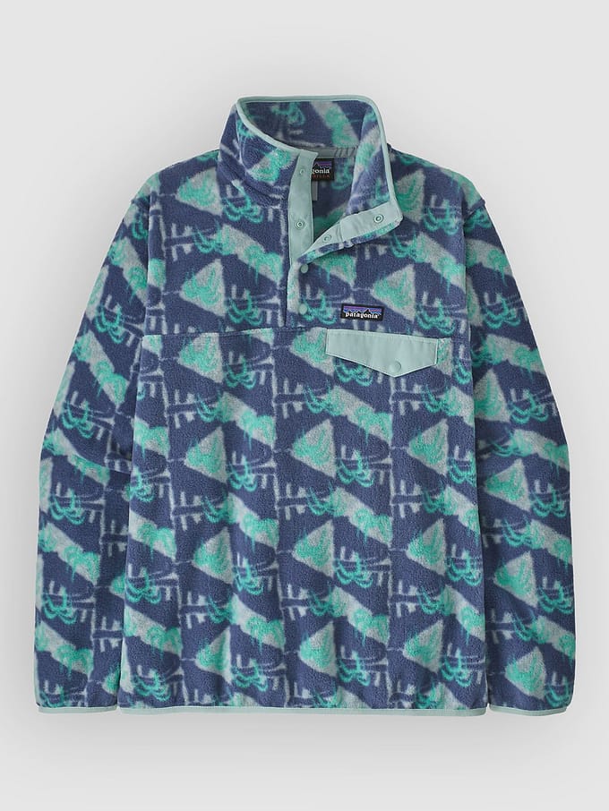 Patagonia LW Synch Snap-T Half-Zip Fleece Trui blauw