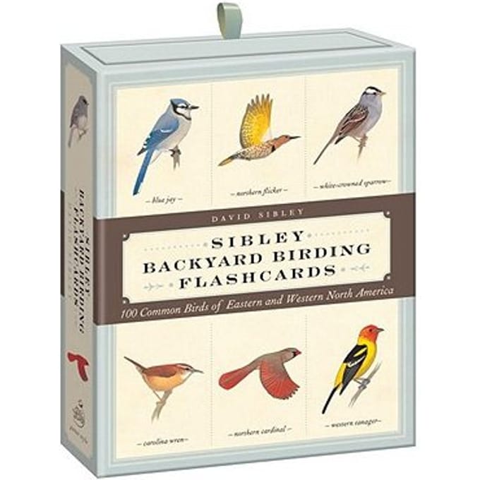 Sibley Backyard Birding Flashcards - David Sibley