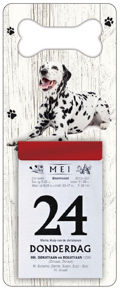 Scheurkalender 2027 Hond: Dalmatiër