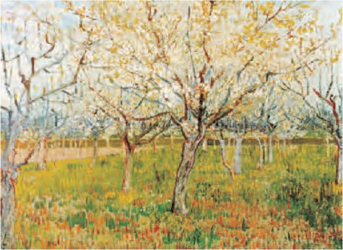 Vincent van Gogh - De boomgaard - Kunstposter - 40x50 cm