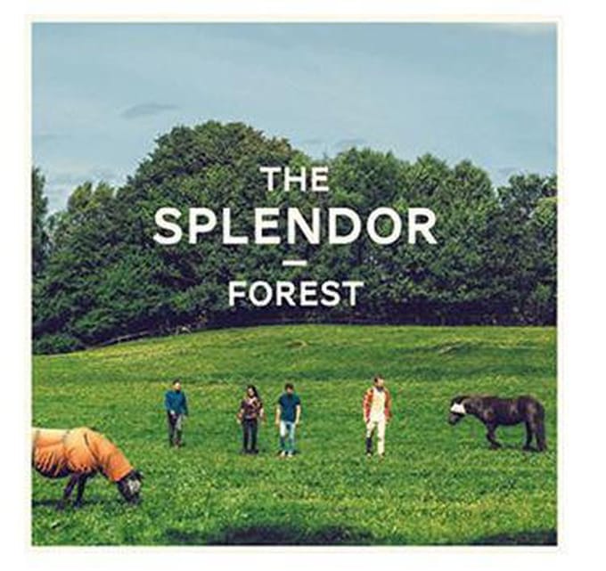 Forest (LP)