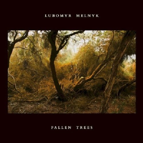 Lubomyr Melnyk - Fallen Trees (CD)