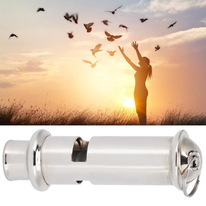 RVS Ultrasone Fluit Draagbaar Duivenfluit Vogels Huisdier Trainingshulpmiddelen white