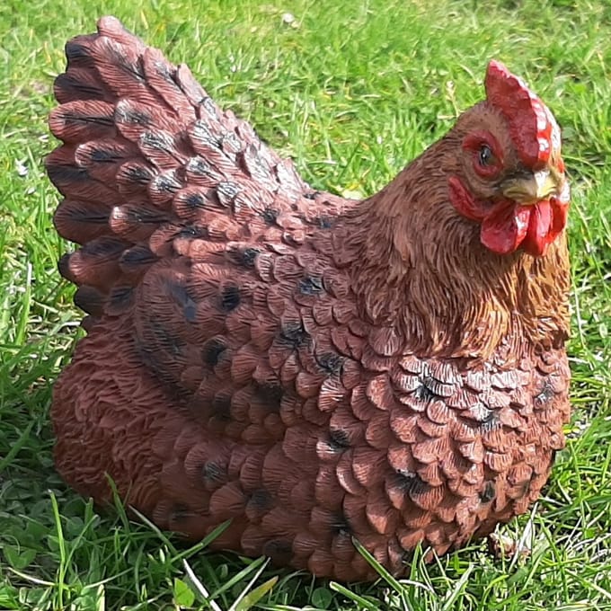 Levensgetrouw broedende kip tuinbeeld | Polystone beeldje voor binnen & buiten | Farmwood