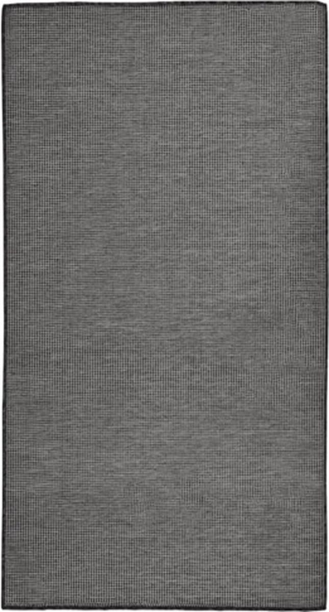 vidaXL - Buitenkleed - platgeweven - 80x150 - cm - grijs