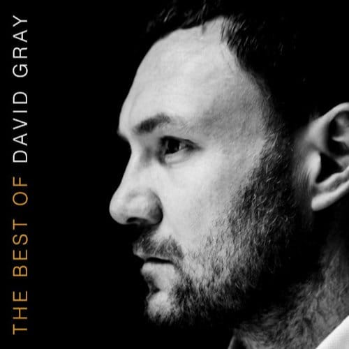 David Gray - The Best Of (2 LP)
