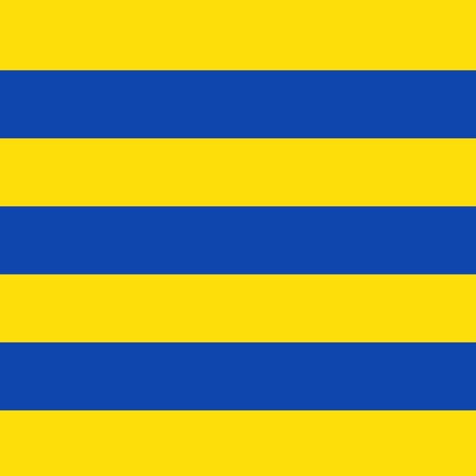 Vlag Amay 200x300cm