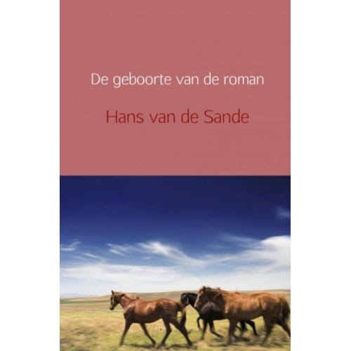 De Geboorte Van De Roman - Hans van de Sande