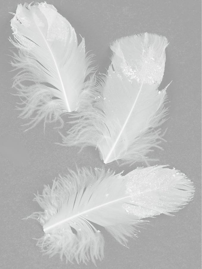 HOBI - 20 witte glitterveren 9 cm fonkelend
