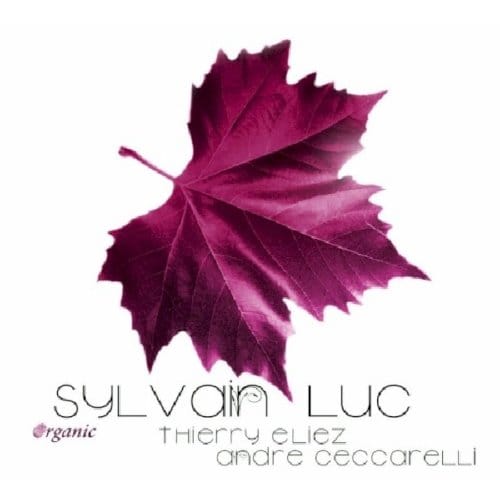 Organic/Feat. Thierry - Sylvain Luc