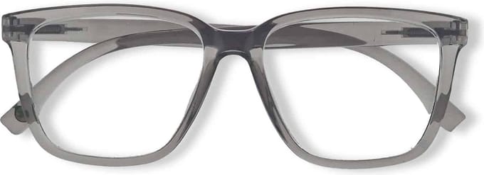 Ear2Ear 21710 Leesbril Newton - sterkte +2.00 - transparant grijs
