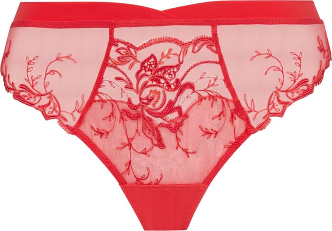 hibiscus beaute-lise Charmel-acc772-rio-38