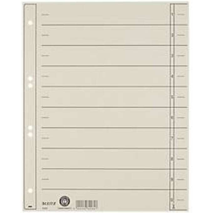 Leitz Staffeltabblad Karton - Beschrijfbare Tabs, 2/4-rings - Voor Ordners en Ringbanden - Grijs