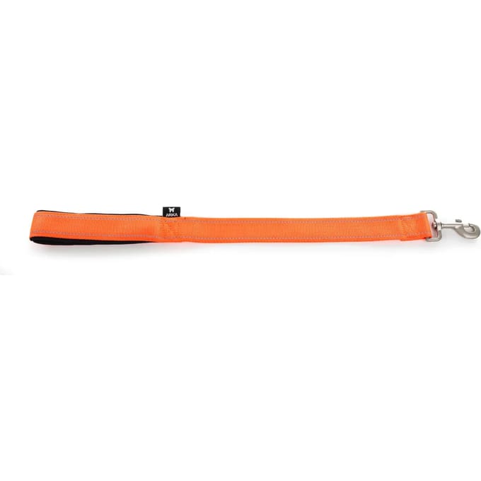 Nylon hondenriem Martin Sellier XL