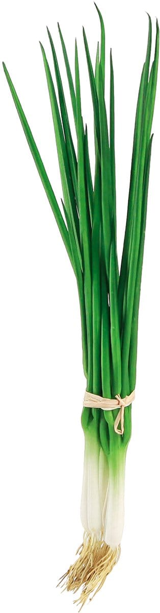 Kunstmatige lente-uitjes, decoratieve groenten, 30 cm lang, 4 stuks, 4