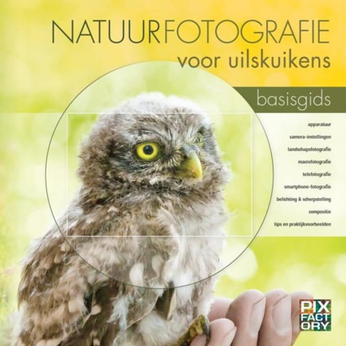 Natuurfotografie Voor Uilskuikens - Daan Schoonhoven