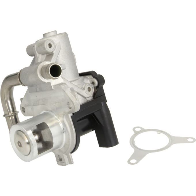 EGR-klep DELPHI EG10493-