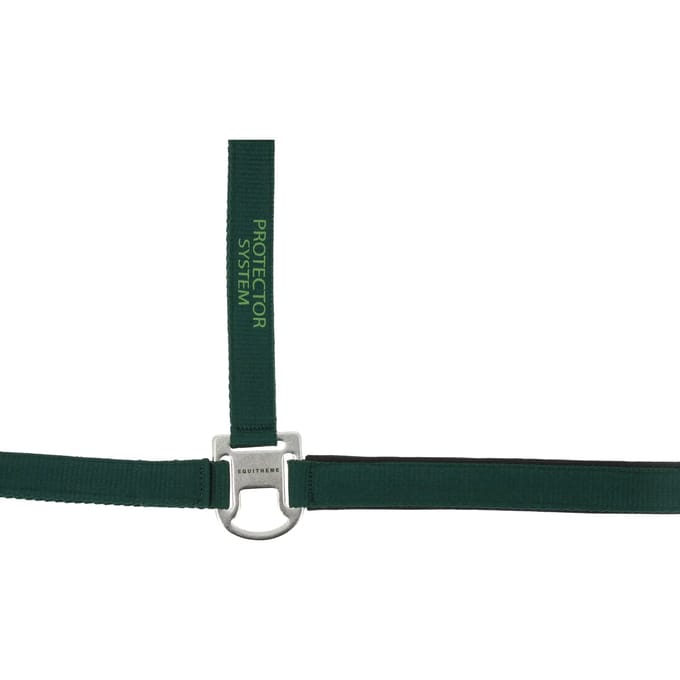 Halster voor paarden Equithème Protector