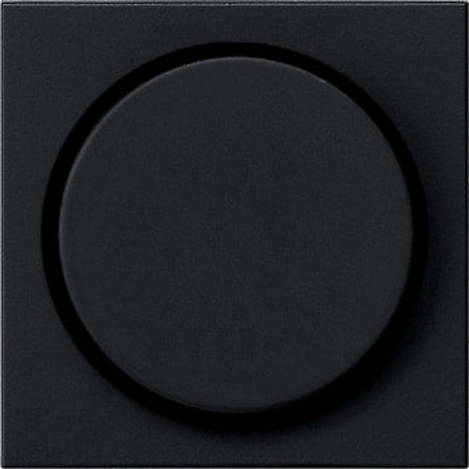 Gira Systeem 55 Besturingselement/Centrale plaat Schakelmateriaal - 0650005 - E2YE6
